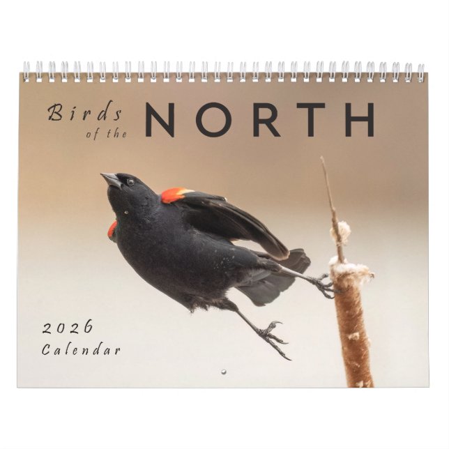 2026 Birds of the North: Great Lakes Calendar Kalender (Titelbild)