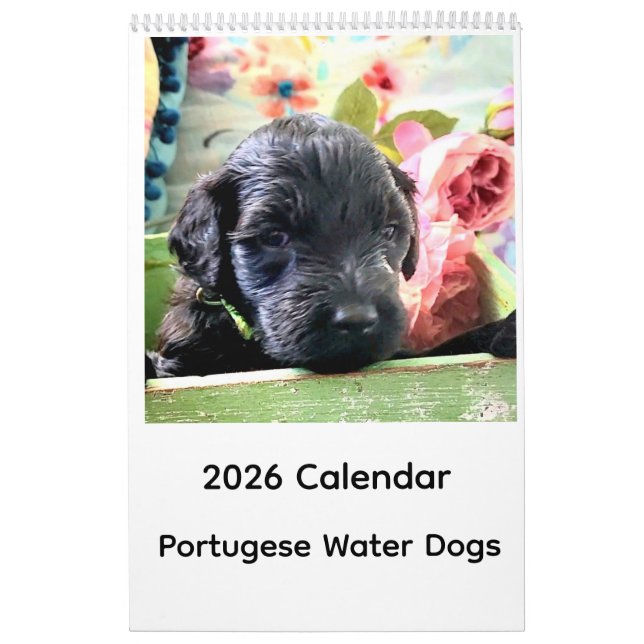 2026 Calendar Portuguese Water Dog Kalender (Titelbild)