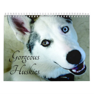 2026 Der wunderschöne sibirische Husky-Dog-Kalende Kalender