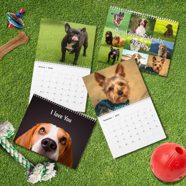 2026 Dog Breeds | Popular Dog Lovers  Kalender (Von Creator hochgeladen)