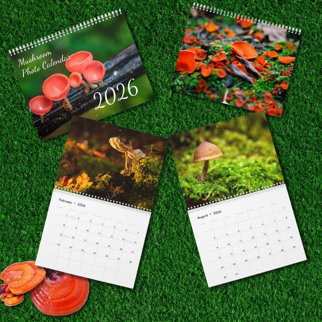 2026 Enchanted Mushroom Photo Kalender (Von Creator hochgeladen)