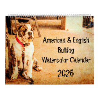 2026 English Bulldog British American Bully Gesche Kalender