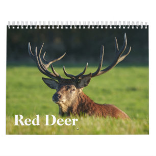 2026 Erzbischöfe Kalender