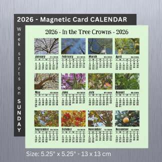 2026 Foto Tree Kalender Sonntag Start Magnetkarte