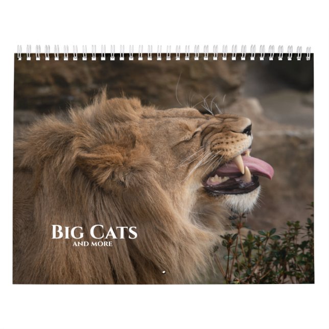 2026 Große Katzen und mehr Kalender (Titelbild)