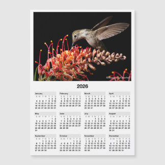 2026 Hummingbird 5x7" Magnetic Mini Calendar Magnetkarte