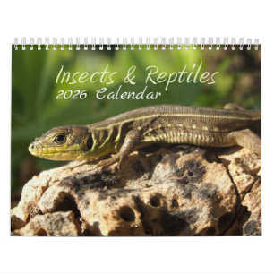 2026 Insekten- und Reptilienkalender Kalender