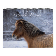 2026 Isländischer Pferdekalender