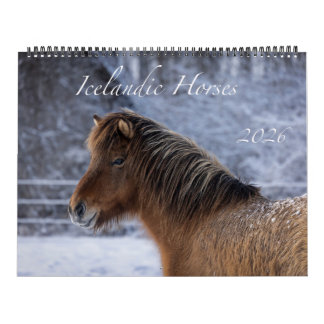 2026 Isländischer Pferdekalender Kalender