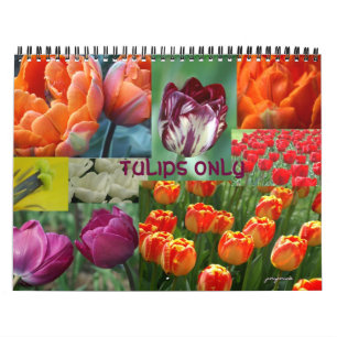 2026 Jahr der Tulpe Kalender