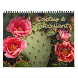 2026 Kakteen & Sukkulent Blume Wall Calendar Kalender