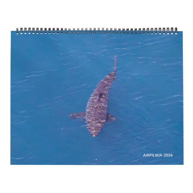 2026 Kalender Airpilikia  (Titelbild)