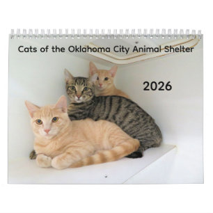 2026 Katzen des Tierschutzhelters in Oklahoma City Kalender