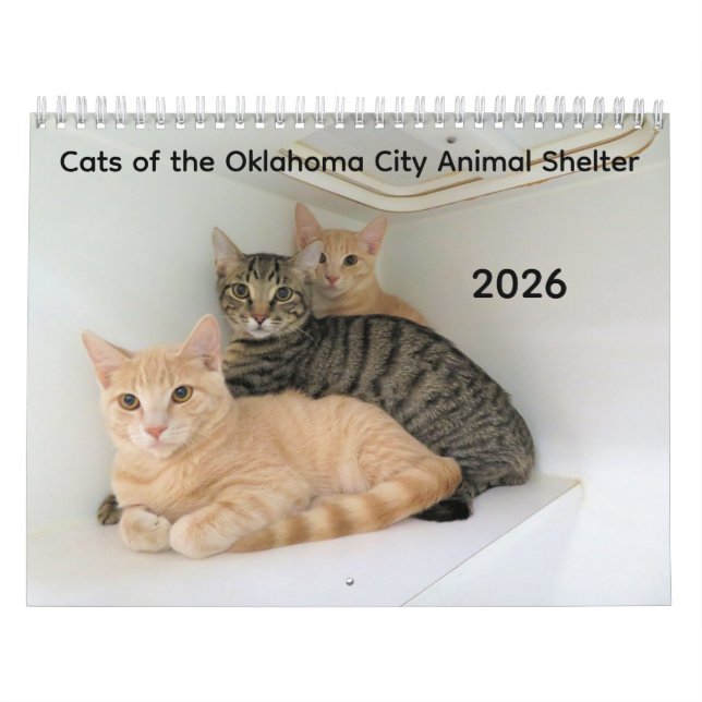 2026 Katzen des Tierschutzhelters in Oklahoma City Kalender (Titelbild)