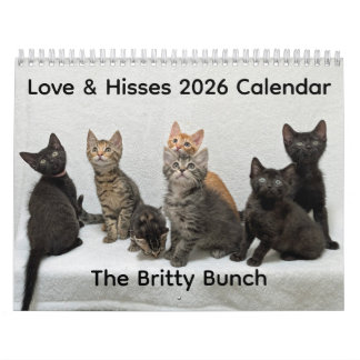 2026 Love & Hisses Kalender - die Britty Bunch