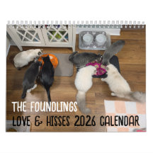 2026 Love & Hisses Kalender - die Findlinge