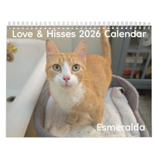 2026 Love & Hisses Kalender - Esmeralda