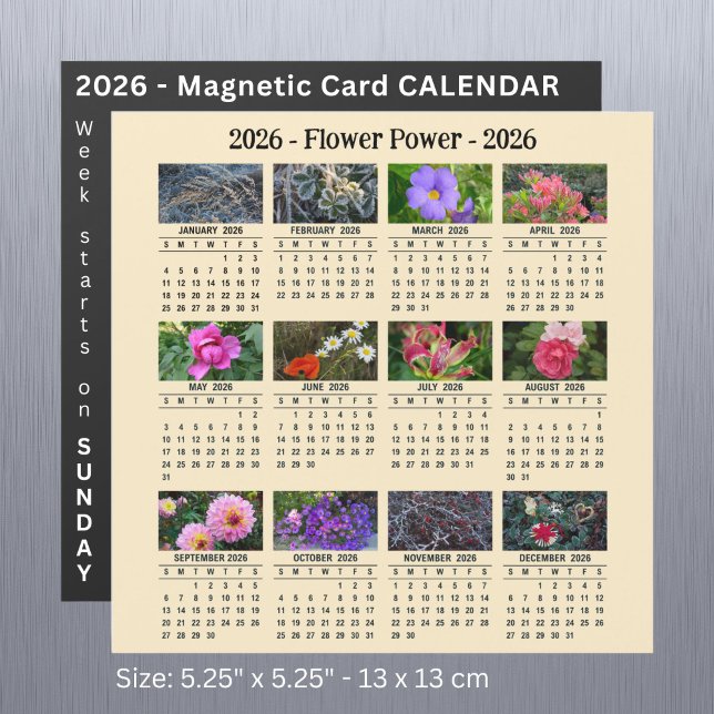 2026 Magnetapricot-Kalender der benutzerdefinierte Magnetkarte (Von Creator hochgeladen)