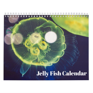 2026 Qualle-Kalender Kalender