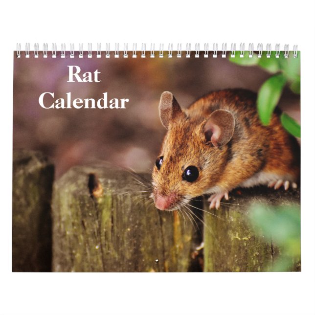 2026 Ratte Kalender (Titelbild)