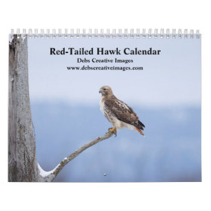 2026 Rot-Schwanz-Falken im Hudson-Tal Kalender