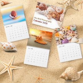 2026 Sea Shell | Coastal  Shell Photography Kalender