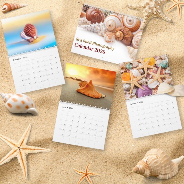2026 Sea Shell | Coastal  Shell Photography Kalender (Von Creator hochgeladen)