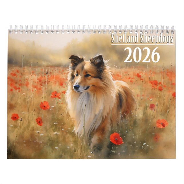 2026 Shetland Sheepdog Kalender (Titelbild)