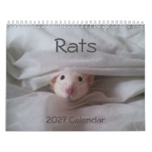 2026 Sitzungskalender