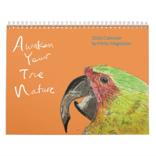 2026 Tierkunst-Kalender von Molly Magdalain Kalender