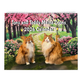 2026 Tony und Teddy Maine Coons Kalender