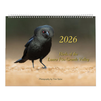 2026 - Vögel des unteren Rio Grande Valley Kalende Kalender
