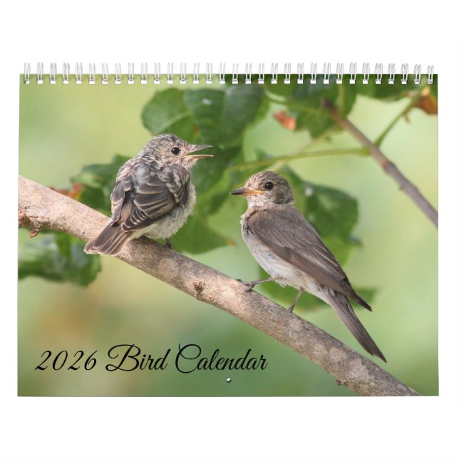 2026 Vogelkalender Kalender (Titelbild)