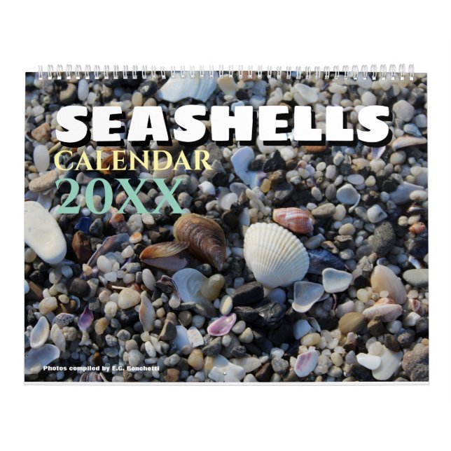 2026 Wall Seashell Calendar Beach Shells Gift Kalender (Titelbild)