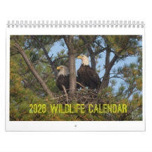 2026-Wildlife-Kalender von Kevin Harris