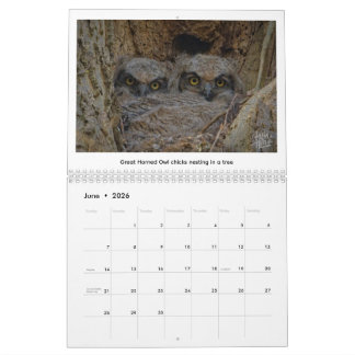 2026-Wildlife-Kalender von Kevin Harris Kalender