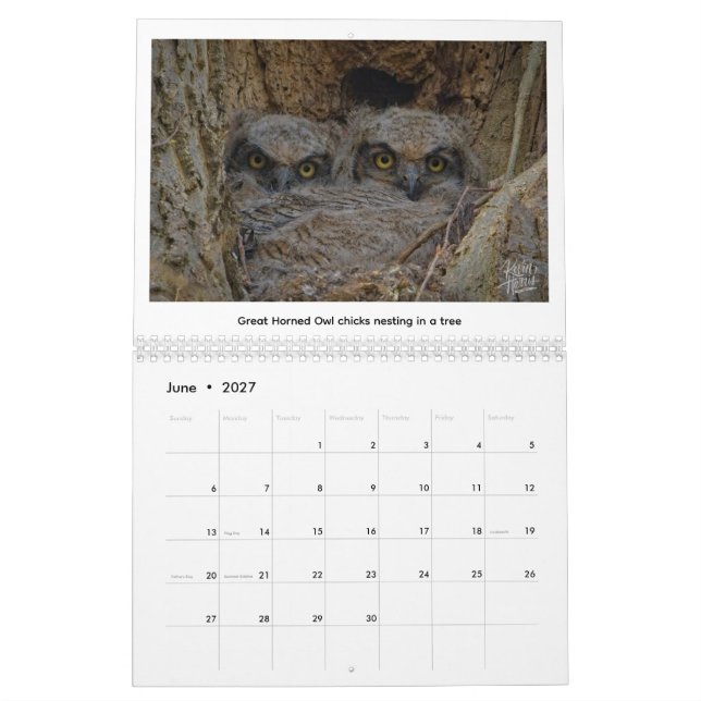 2026-Wildlife-Kalender von Kevin Harris Kalender (Jun 2027)