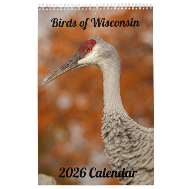 2026 Wisconsin Birds Calendar Kalender (Titelbild)