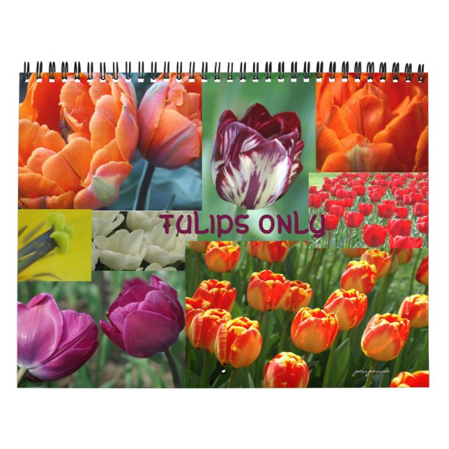 2026 year of the tulip kalender (Titelbild)