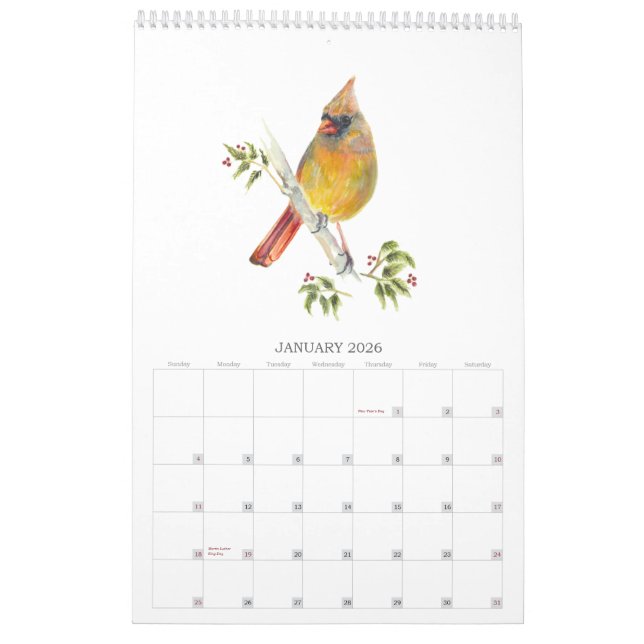 2026Garten-Vögel im Aquarellkalender Kalender (Jan 2026)