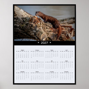 2027 Amerikanischer Nerz Wandkalender - Wildtiere Poster