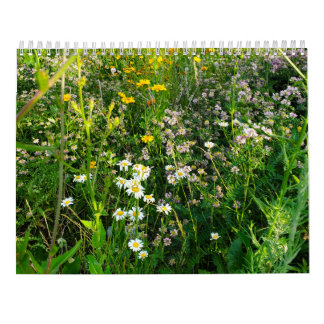 2027 Blumenvorhersage Kalender