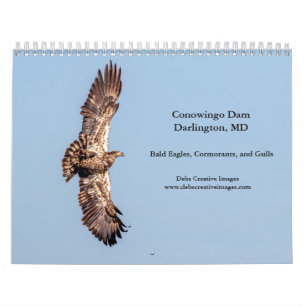 2027 Conowingo-Damm Weißkopfseeadler Maryland-Wi Kalender