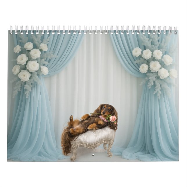 2027 Dachshund Kalender (Titelbild)
