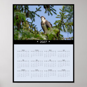 2027 Fischadler-Wandkalender - Fischhabicht-Foto Poster