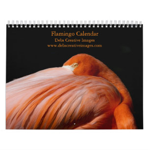 2027 Flamingos von Florida Kalender