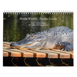 2027 Florida-Wildlife Natur in Pinellas County Kalender