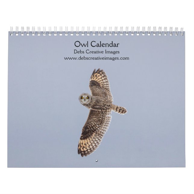 2027 Geheimnisvolle Eulen | Nachtaktive Tierwelt Kalender (Titelbild)