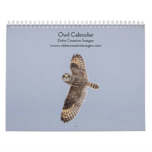 2027 Geheimnisvolle Eulen Nachtaktive Tierwelt Kalender