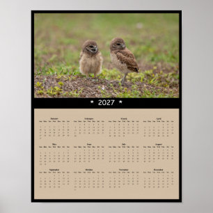 2027 Grabkauz-Wandkalender - Eulenfamilie Poster
